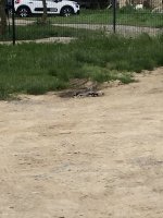 IMG_6552.jpeg IMG_6552.jpeg