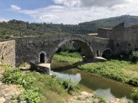 IMG_6570.jpeg IMG_6570.jpeg