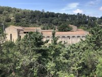 IMG_6575.jpeg IMG_6575.jpeg