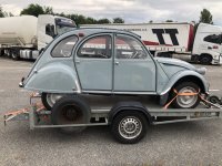 IMG_6581.jpeg IMG_6581.jpeg