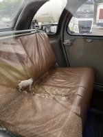 IMG_6584.jpeg IMG_6584.jpeg