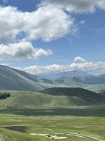 IMG_3583.jpeg IMG_3583.jpeg