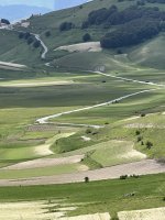 IMG_3584.jpeg IMG_3584.jpeg