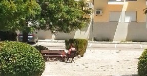 IMG_20240527_141914~2.jpg IMG_20240527_141914~2.jpg