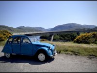 IMG_5801.jpeg IMG_5801.jpeg