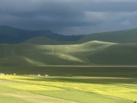 IMG_1932.jpeg