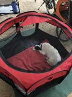 IMG_6649.jpeg