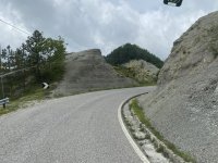 IMG_2034.jpeg IMG_2034.jpeg