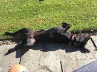 IMG-20180707-WA0000.jpg