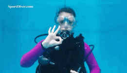3BD2B907-8186-43FC-9640-01EB9EB1BCA3.gif