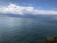 IMG_6732.jpeg IMG_6732.jpeg