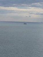 IMG_6731.jpeg IMG_6731.jpeg