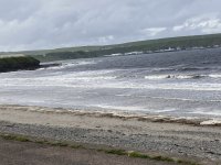 IMG_3163.jpeg