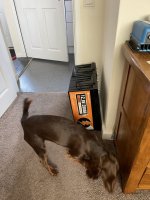 IMG_0464.jpeg IMG_0464.jpeg