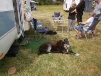 P7110194.JPG P7110194.JPG