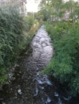 AE937877-0DEC-4041-BA78-CC33AC953CD7.jpeg