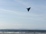 DABF6707-E12F-4B1C-BB2C-FE63BD18E4D2.jpeg DABF6707-E12F-4B1C-BB2C-FE63BD18E4D2.jpeg