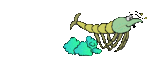 prawn-612209.gif prawn-612209.gif
