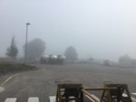 005976CC-BAAF-4B6B-97AF-A2EF8945CEEF.jpeg