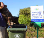 dog in bin.jpg