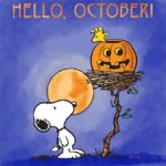 october_109.jpg