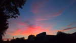 WP_20181009_19_24_24_Rich.jpg