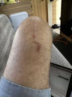 IMG_1610.jpeg IMG_1610.jpeg