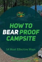 bears.jpg