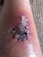 IMG_6987.jpeg IMG_6987.jpeg