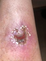 IMG_7048.jpeg IMG_7048.jpeg