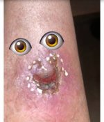 IMG_7661.jpeg IMG_7661.jpeg