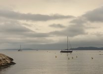 IMG_2479.jpeg IMG_2479.jpeg