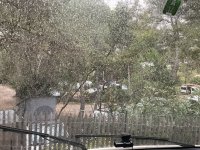 IMG_0177.jpeg IMG_0177.jpeg