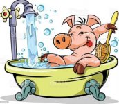 pig bath.jpg