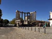 IMG_1188.jpeg