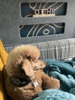 IMG_0028.jpeg
