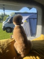IMG_5398.jpeg