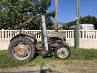 IMG_7774.jpeg