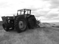 0488d575-4785-4b35-92de-3cf1f475a77d (1).jpg