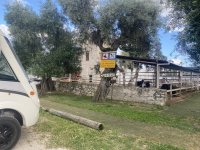 IMG_3093.jpeg