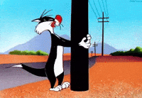200w-8.gif