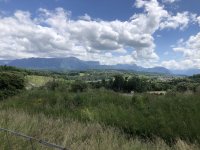 IMG_7805.jpeg