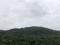 IMG_7823.jpeg