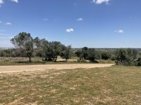 IMG_0347.jpeg