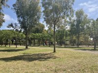 IMG_0356.jpeg
