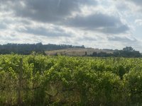 IMG_3272.jpeg