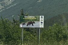 IMG_3258.jpeg