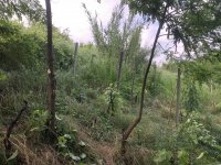 IMG_7890.jpeg