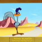 the-bugs-bunny-and-road-runner-movie-the-bugs-bunny-and-roadrunner-movie.gif