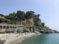 IMG_7917.jpeg